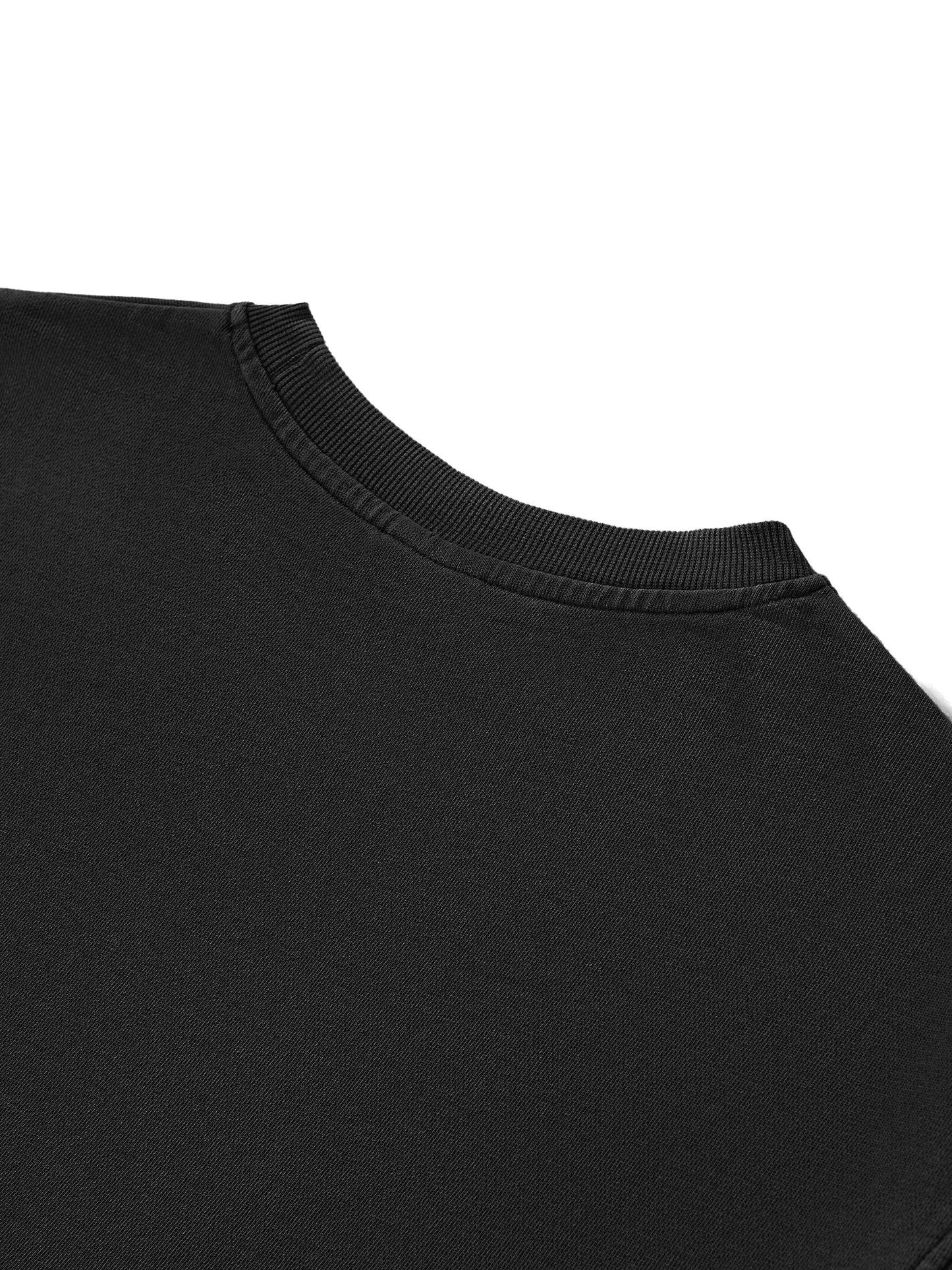 Lux Raw Edge Crop T-Shirt